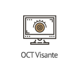 OCT visante